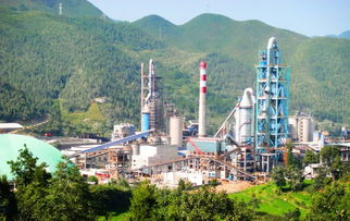 華新先進(jìn)基層黨組織巡禮 萬(wàn)源公司 迪慶公司 大冶公司