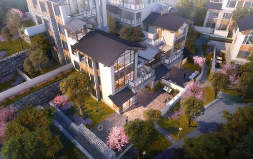 歸原小鎮產品發布會首秀驚艷山城，仙女山度假房地產迎來震撼盛會